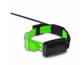 GPS collar for another dog - Dogtrace X20 (supplied with green plastic collar)