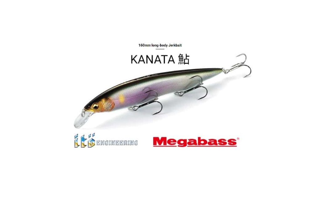 Wobbler Megabass Kanata 160 F