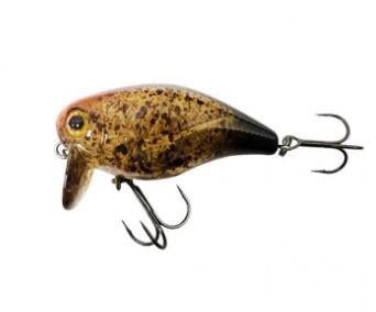 Jackall CHUBBY 41F SSR SILENT