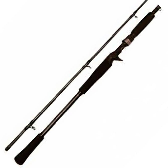 BFT Raptor  Baitcast Rod