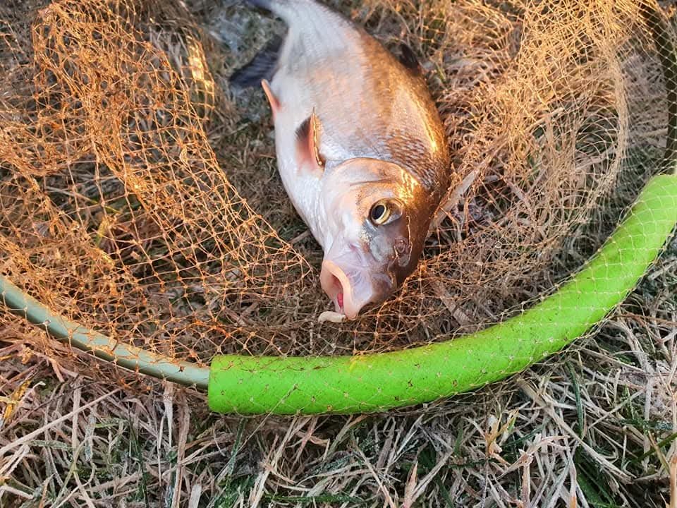 Vimbās ar fīderi pavasarī!