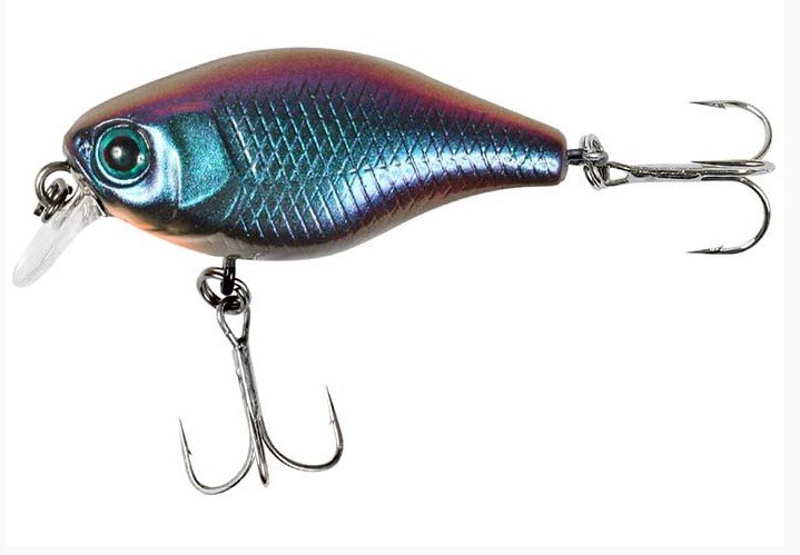 chubby fishing lure JYG Paddle Tail JYG Pro Chubby swimbaits feature tall baitfish profiles Chubby Chaser  Ballyhood