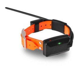 GPS collar for another dog - Dogtrace X20 (supplied with orange plastic collar)