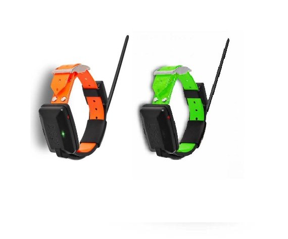 GPS collar for another dog - Dogtrace X20